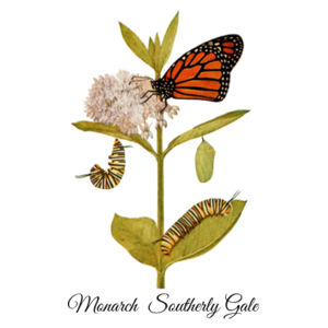Monarch Design