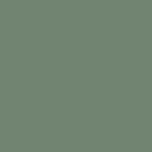 NZ Ferns Design