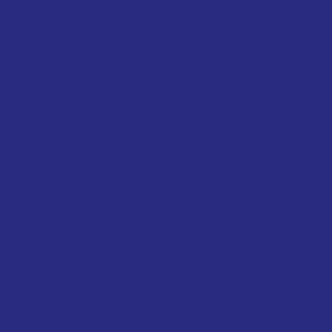 Rockhopper Penguin Design
