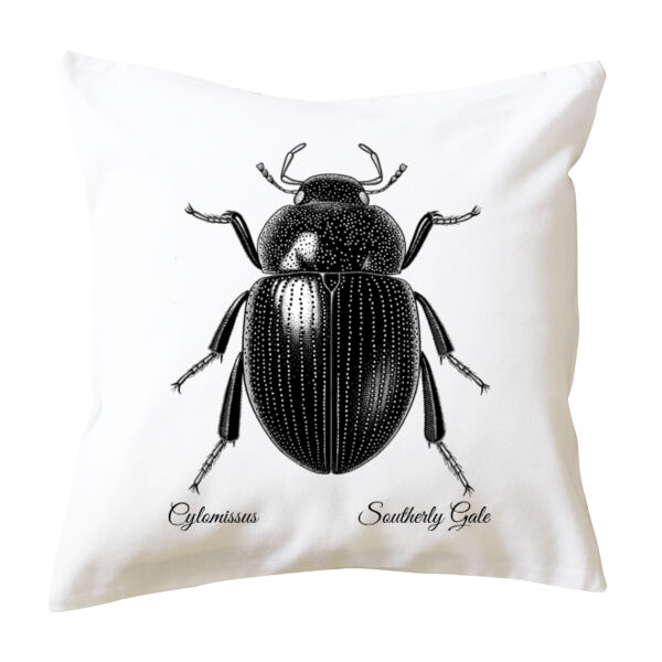 New Zealand Insects - Cylomissus  Thumbnail