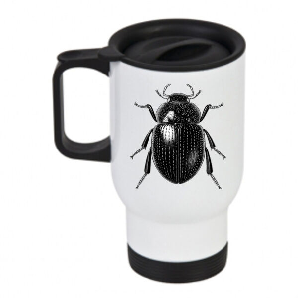 New Zealand Insects - Cylomissus  Thumbnail