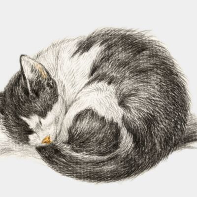 Illustration by Jean Bernard digitally enhanced by rawpixel com 125 transformed Thumbnail