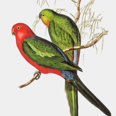 image from rawpixel id 321144 jpeg  1  nvQ0mWfXC transformed Thumbnail