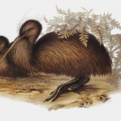 image from rawpixel id 321314 jpeg  1  transformed Thumbnail