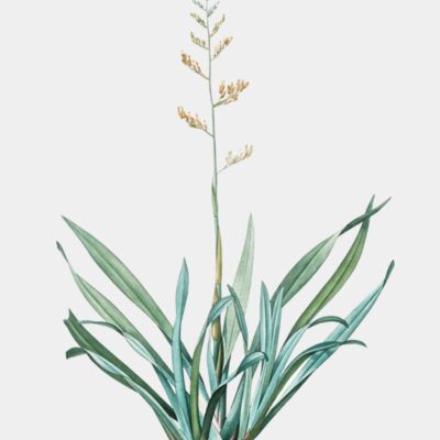 image from rawpixel id 502414 jpeg  1  transformed Thumbnail