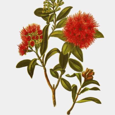 Georgina Hetley02 transformed  1  Thumbnail