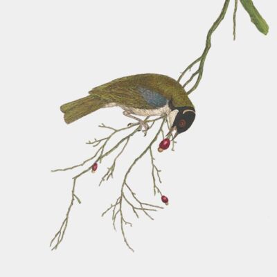 46494301841 bd5b48828e o 1   1  Thumbnail