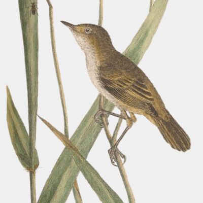 46494295641 a1eb8b184a o transformed  1  Thumbnail