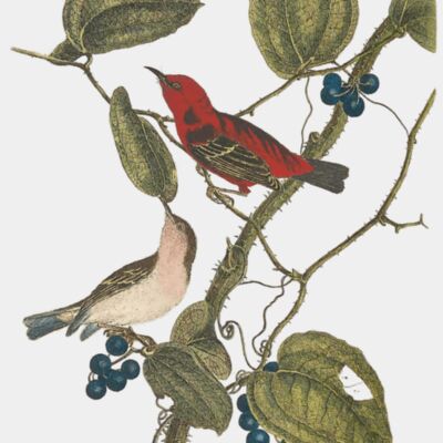 31554380687 762789be55 o transformed  1  Thumbnail