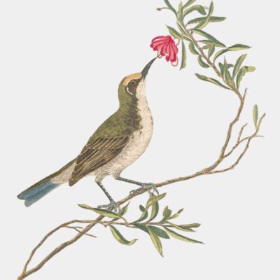 46494299181 85abc75cf3 o transformed 1   1  Thumbnail