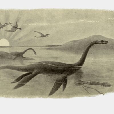 Extinct monsters BHL23904310 transformed  2  Thumbnail