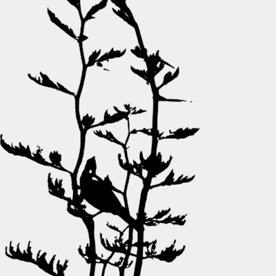 tui in flax 6 version 2 Thumbnail