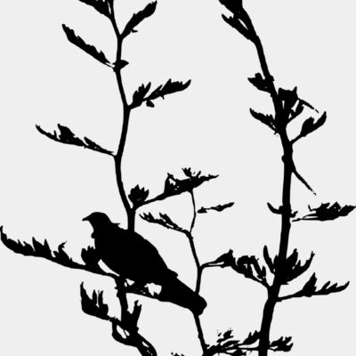 tui in flax 3 Thumbnail