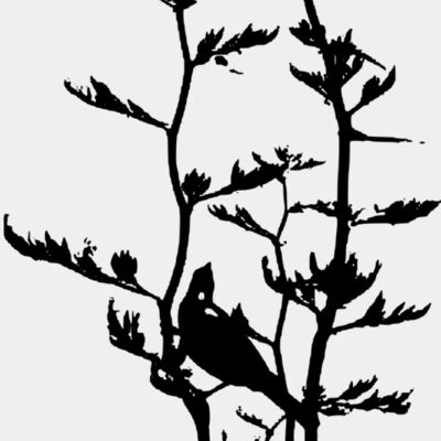 tui in flax 2 Thumbnail