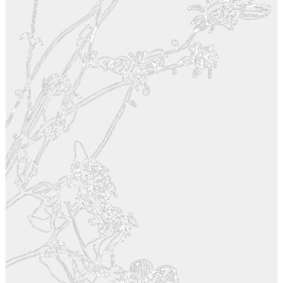 Flower Sketch white Transparent  1  2  Thumbnail