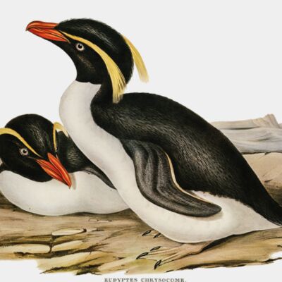 image from rawpixel id 378024 jpeg Thumbnail